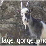 A resident of Cheddar Gorge