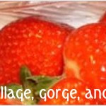 Strawberries at Highnam's Dairy